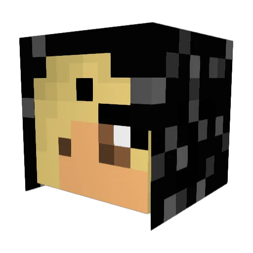 MrsMojoR1sin Minecraft avatar head, 3D render