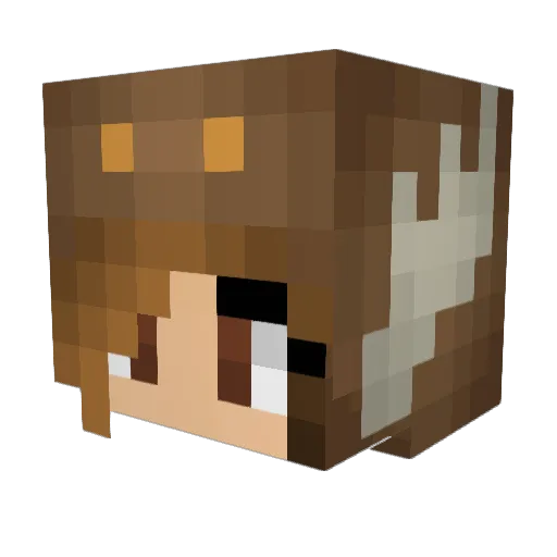 MrsMoose82 Minecraft avatar head, 3D render