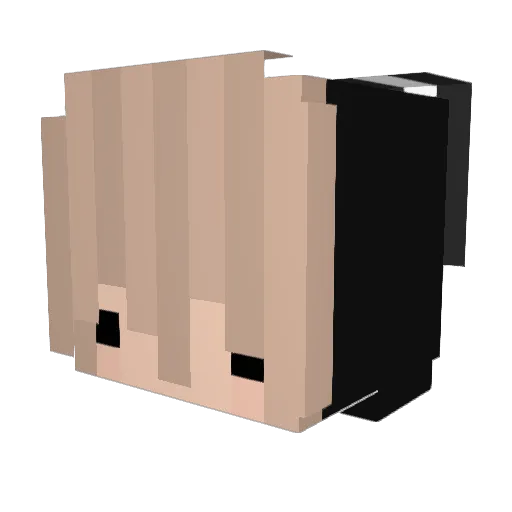 MrsNightwither Minecraft avatar head, 3D render