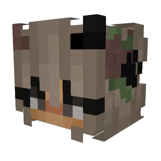 MrsNotPerfect Minecraft avatar head, 3D render