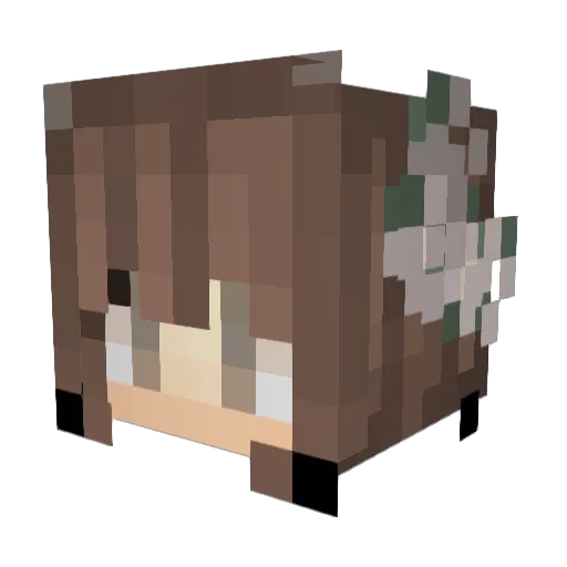 MrsSaSa11 Minecraft avatar head, 3D render