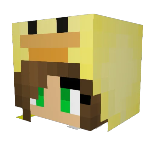 MrsSnoodle Minecraft avatar head, 3D render