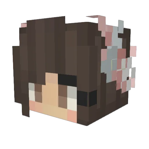 MrsTomate Minecraft avatar head, 3D render