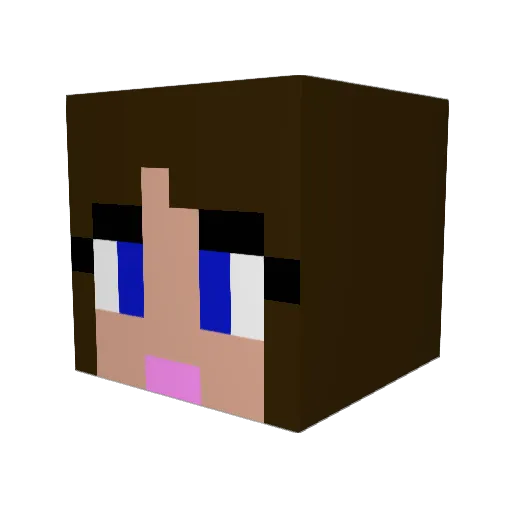 MrsWookiee Minecraft avatar head, 3D render