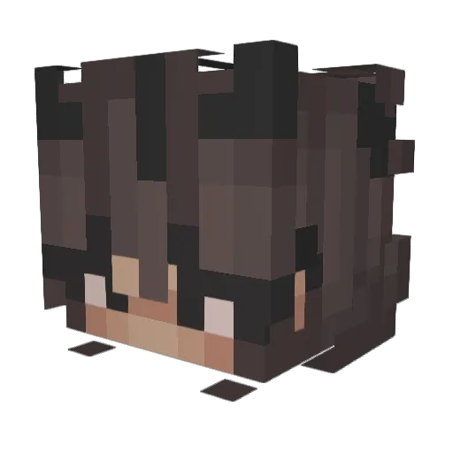 Mrs_Accet Minecraft avatar head, 3D render
