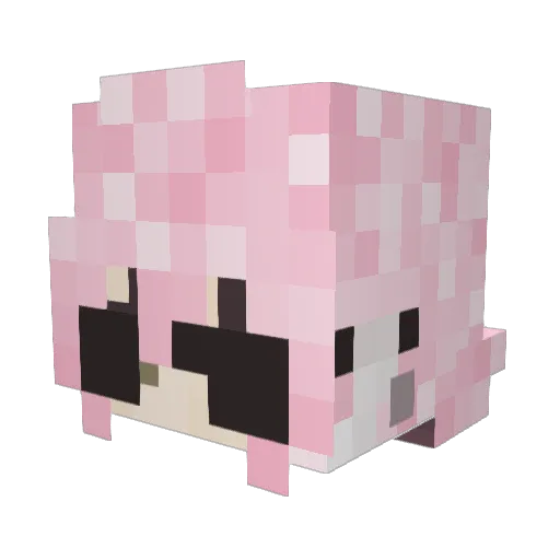 Mrs_Beans09 Minecraft avatar head, 3D render
