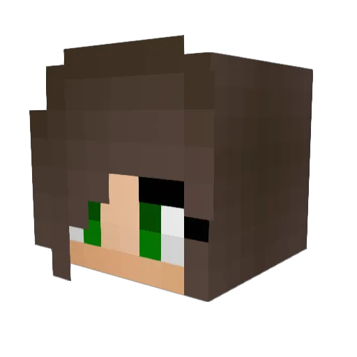 Mrs_Bina Minecraft avatar head, 3D render