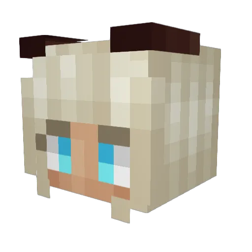 Mrs_Fortune Minecraft avatar head, 3D render