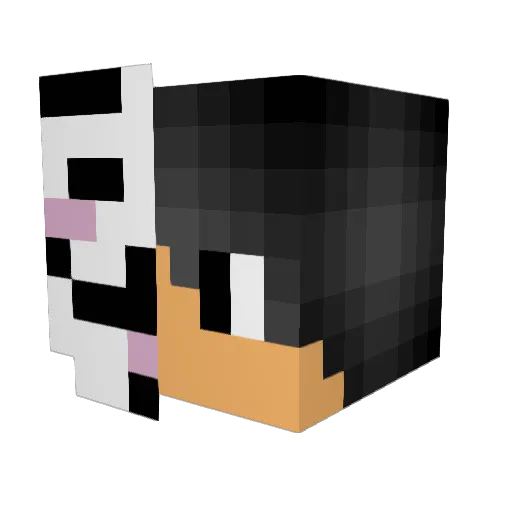 Mrs_Hubba_Bubba Minecraft avatar head, 3D render