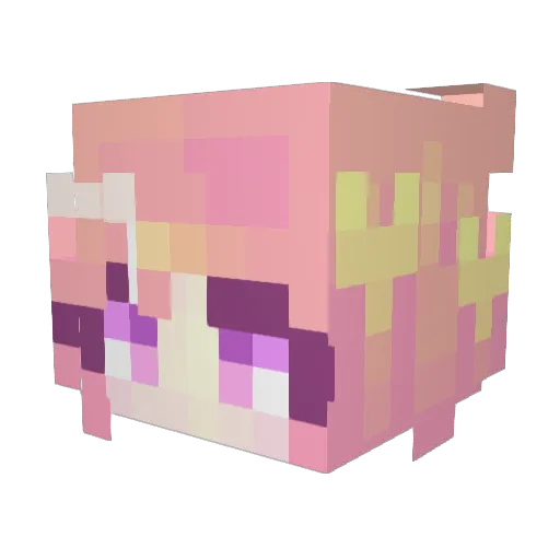Mrs_Rex1312 Minecraft avatar head, 3D render