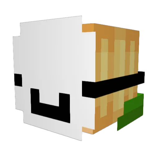 Mrsalty6969 Minecraft avatar head, 3D render