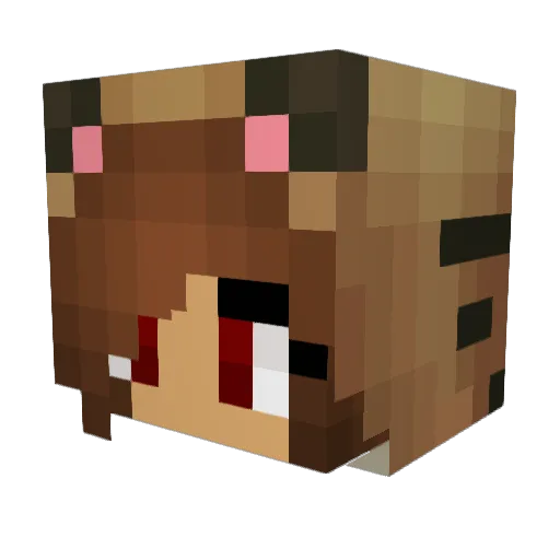 Mrslice799 Minecraft avatar head, 3D render