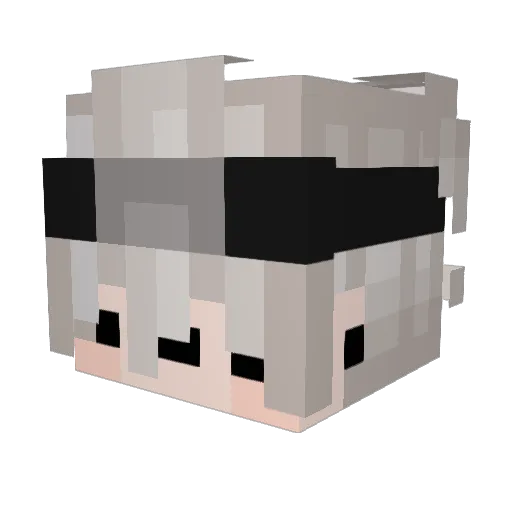 Mrsticks09 Minecraft avatar head, 3D render
