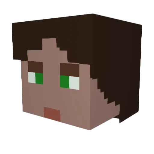 Mrtoto08 Minecraft avatar head, 3D render