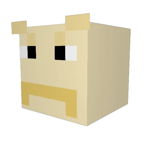 Mrtropical99 Minecraft avatar head, 3D render
