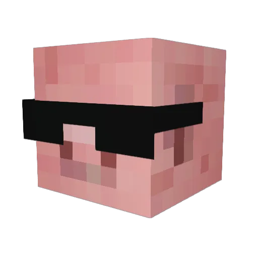 Mrwhale3 Minecraft avatar head, 3D render