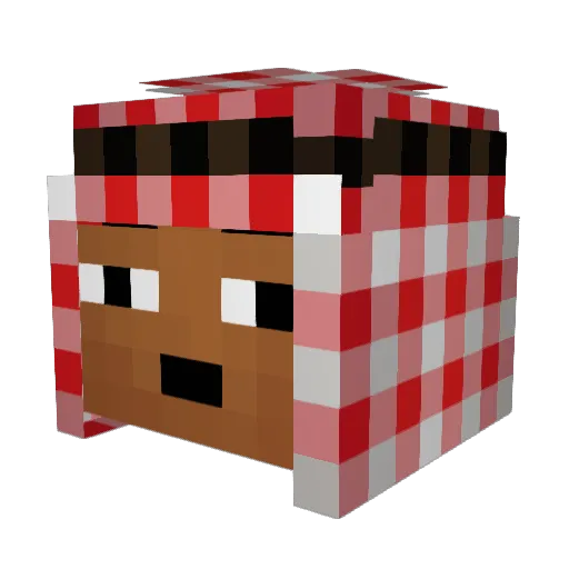 Mryoumuo Minecraft avatar head, 3D render