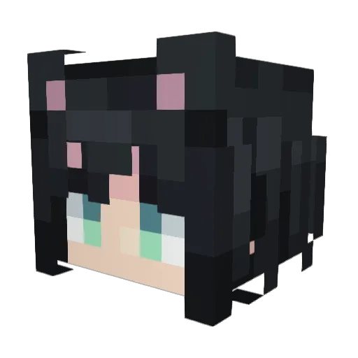 Mryukoag Minecraft avatar head, 3D render
