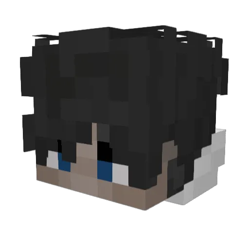 Ms6ll Minecraft avatar head, 3D render