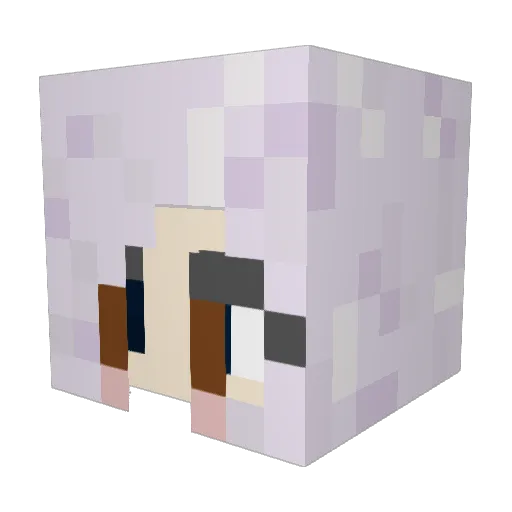MsAimbot Minecraft avatar head, 3D render