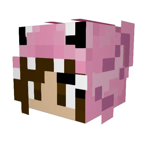 MsAllyy Minecraft avatar head, 3D render