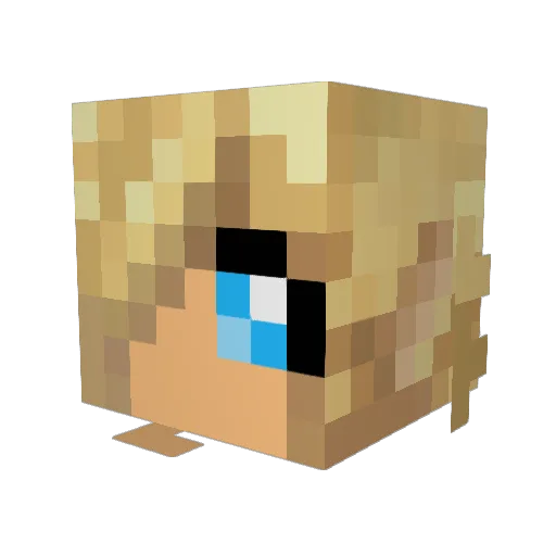 MsBookButterfly Minecraft avatar head, 3D render