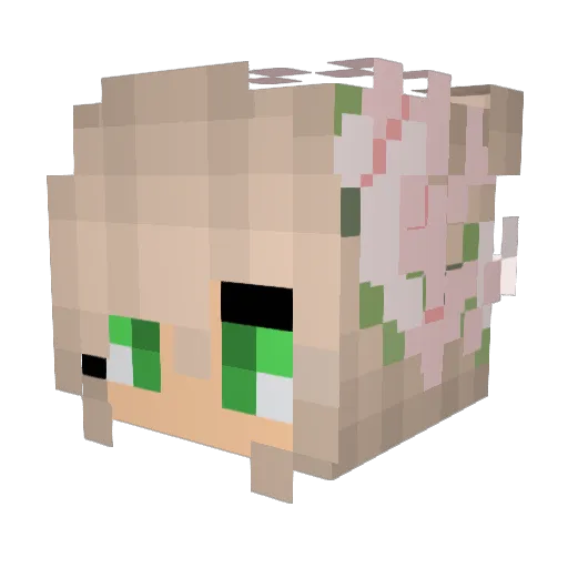 MsHayate Minecraft avatar head, 3D render