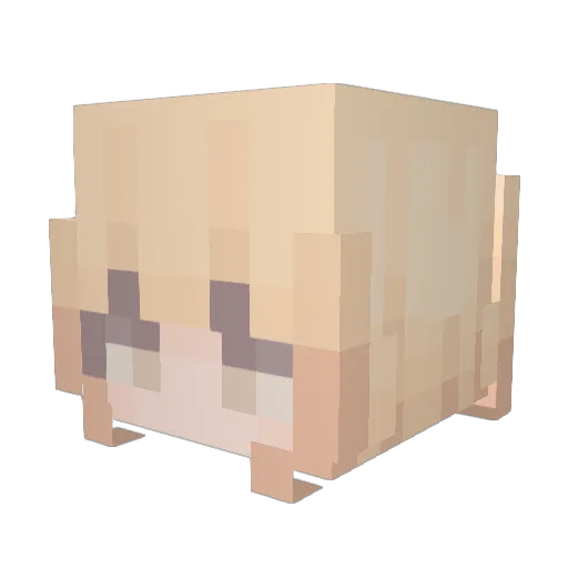 MsPayton Minecraft avatar head, 3D render