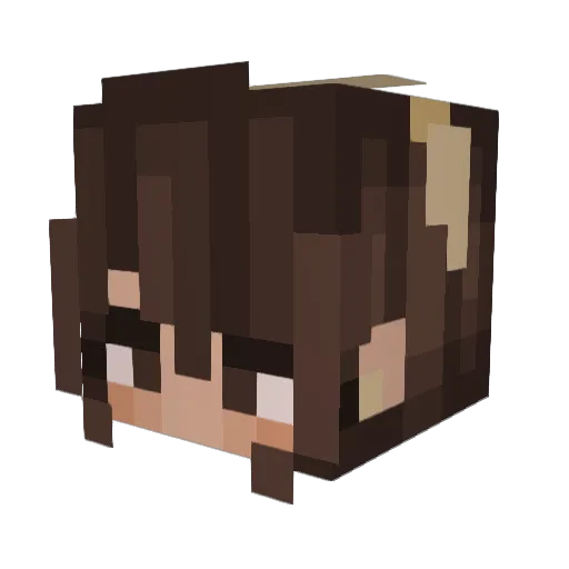 MsPerfect Minecraft avatar head, 3D render