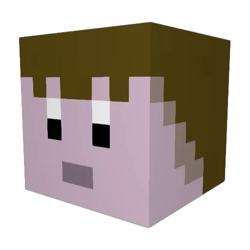 MsPoint Minecraft avatar head, 3D render
