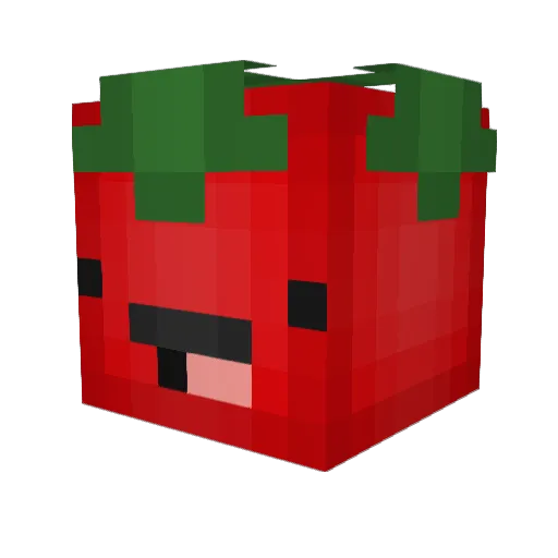 MsTomatenqueen Minecraft avatar head, 3D render
