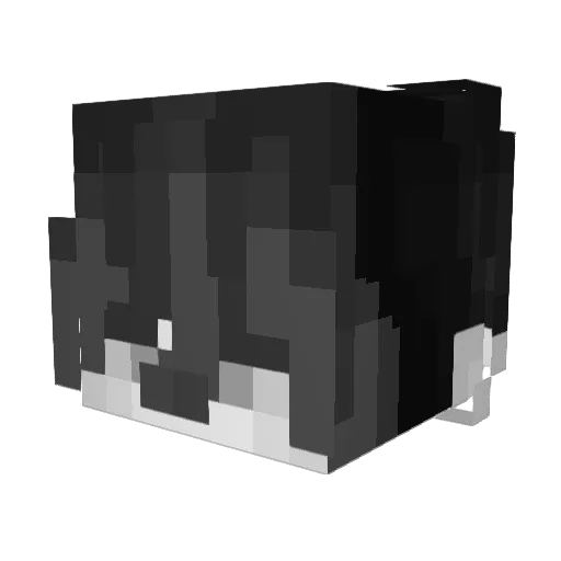 Ms_Edward Minecraft avatar head, 3D render