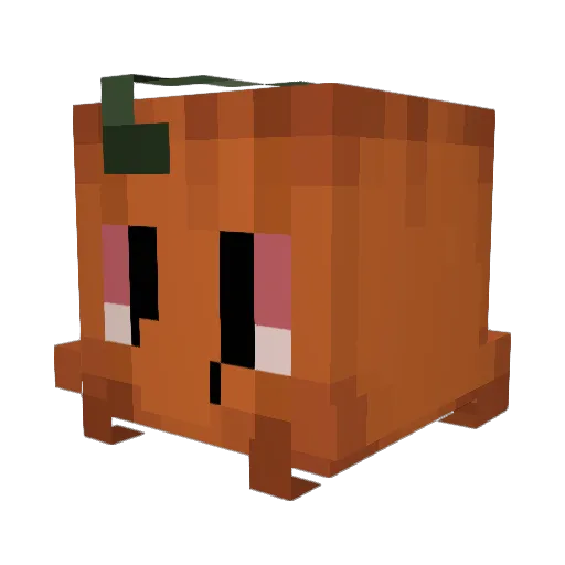 Ms_PumpkinHead Minecraft avatar head, 3D render