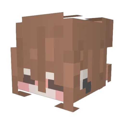 Ms_Teddy Minecraft avatar head, 3D render