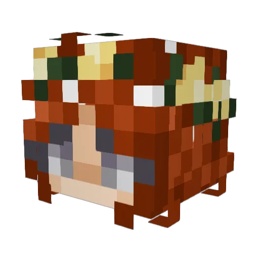Ms_von_Hybschman Minecraft avatar head, 3D render