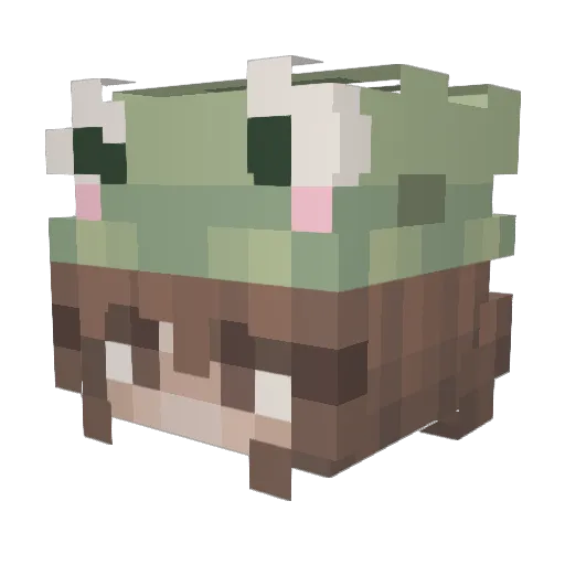 Mscho31 Minecraft avatar head, 3D render