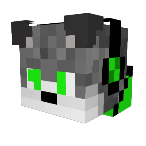 Msdeadnow Minecraft avatar head, 3D render