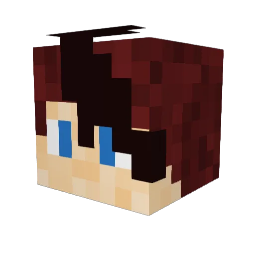 Mshyrackor Minecraft avatar head, 3D render
