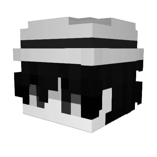 Mslo456 Minecraft avatar head, 3D render