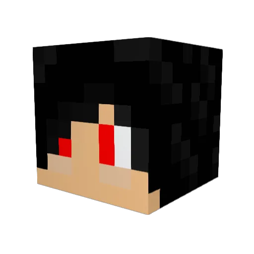 MstrGmrAnonymous Minecraft avatar head, 3D render
