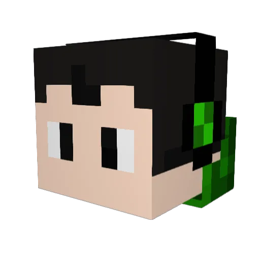 Mstr_Liam Minecraft avatar head, 3D render