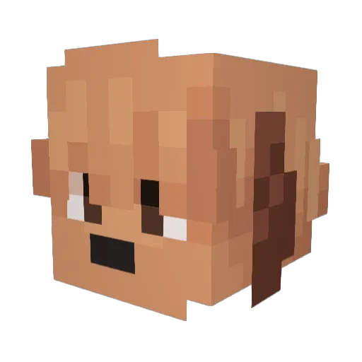 Mtboss124 Minecraft avatar head, 3D render