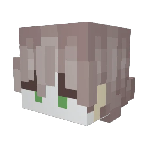 MtfBoxx Minecraft avatar head, 3D render