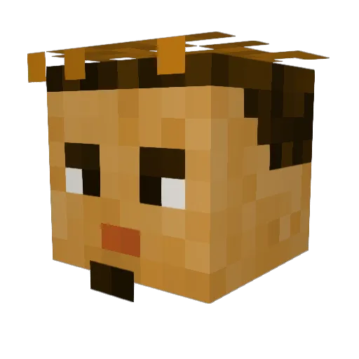 MtlyEthan14 Minecraft avatar head, 3D render