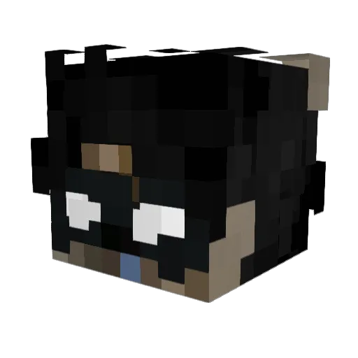 Mtynnn Minecraft avatar head, 3D render