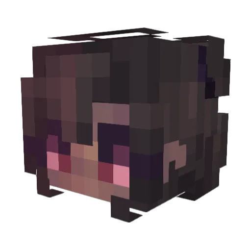 Mu4inCak3 Minecraft avatar head, 3D render