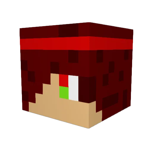 MuGamerAraujo Minecraft avatar head, 3D render