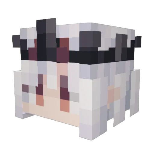 MuNanGui Minecraft avatar head, 3D render