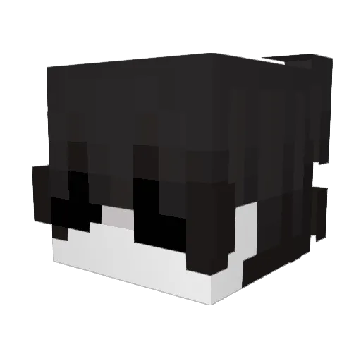 MuYang1211 Minecraft avatar head, 3D render