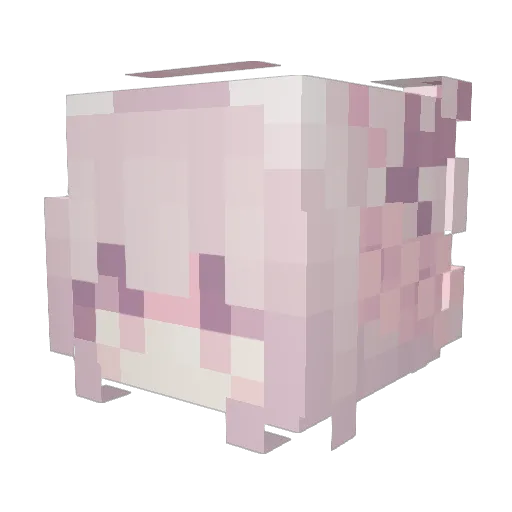 Mu_Cat Minecraft avatar head, 3D render